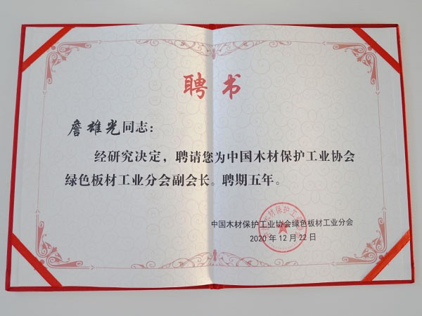 10大品牌板材松博宇-綠色板材工業(yè)分會(huì)副會(huì)長(zhǎng)