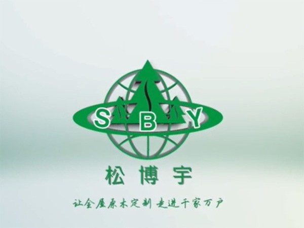 松博宇品牌宣傳視頻