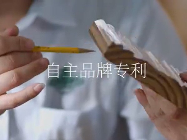 松博宇公司網(wǎng)站視頻